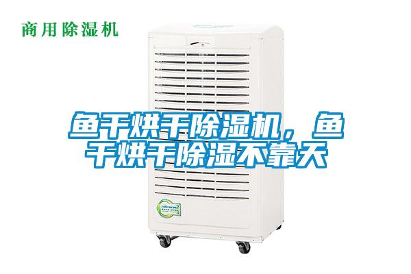 鱼干烘干草莓视频APP在线，鱼干烘干除湿不靠天