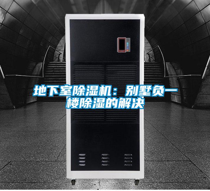 地下室草莓视频APP在线：别墅负一楼除湿的解决