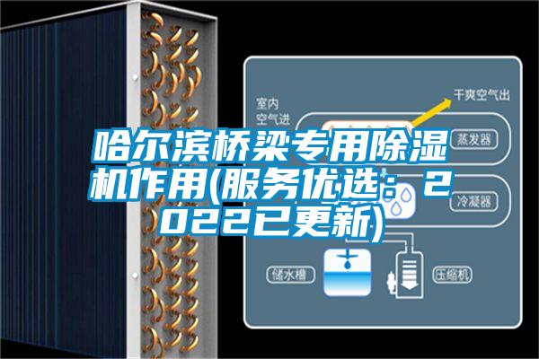 哈尔滨桥梁专用草莓视频APP在线作用(服务优选：2022已更新)
