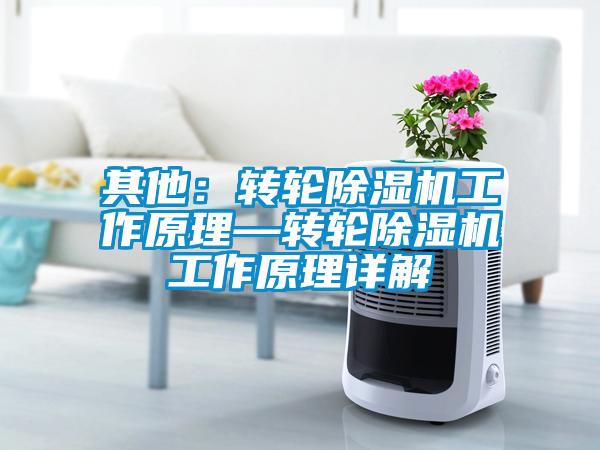 其他：转轮草莓视频APP在线工作原理—转轮草莓视频APP在线工作原理详解