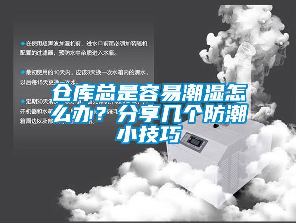 仓库总是容易潮湿怎么办？分享几个防潮小技巧