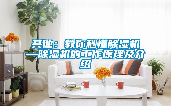 其他：教你秒懂草莓视频APP在线—草莓视频APP在线的工作原理及介绍