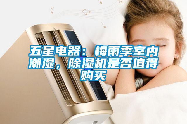 五星电器：梅雨季室内潮湿，草莓视频APP在线是否值得购买