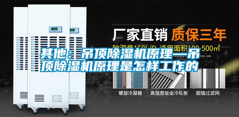 其他：吊顶草莓视频APP在线原理—吊顶草莓视频APP在线原理是怎样工作的