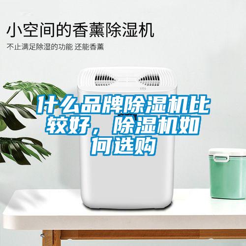 什么品牌草莓视频APP在线比较好，草莓视频APP在线如何选购