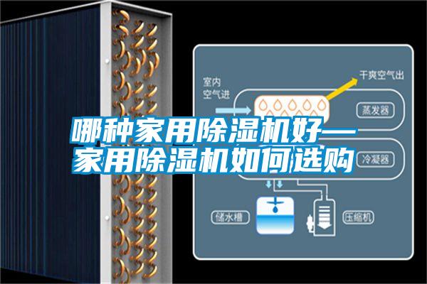 哪种家用草莓视频APP在线好—家用草莓视频APP在线如何选购