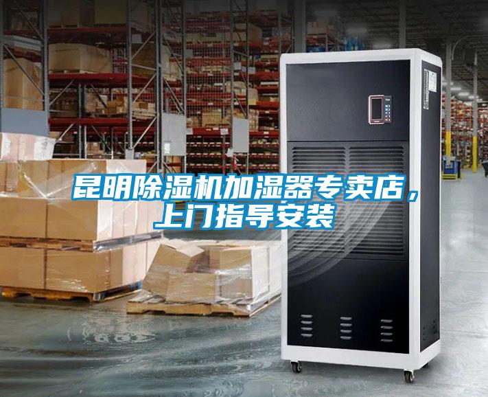 昆明草莓视频APP在线加湿器专卖店，上门指导安装