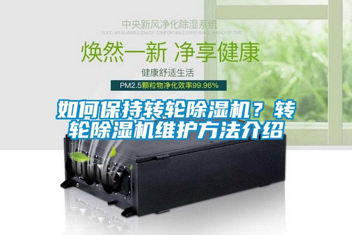 如何保持转轮草莓视频APP在线？转轮草莓视频APP在线维护方法介绍