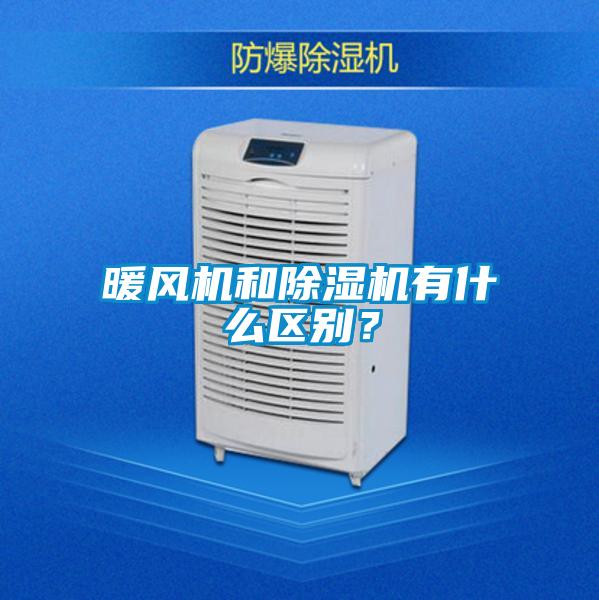 暖风机和草莓视频APP在线有什么区别？
