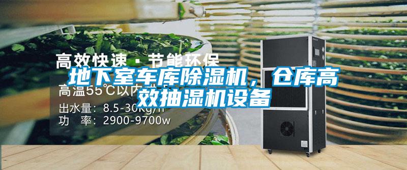 地下室车库草莓视频APP在线，仓库高效抽湿机设备