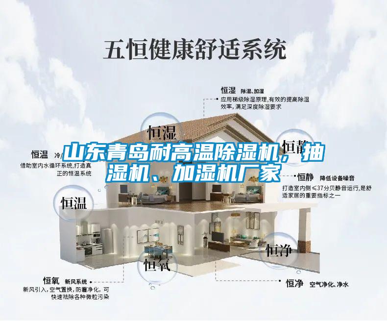 山东青岛耐高温草莓视频APP在线，抽湿机、加湿机厂家