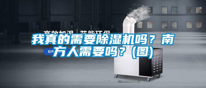我真的需要草莓视频APP在线吗？南方人需要吗？(图)