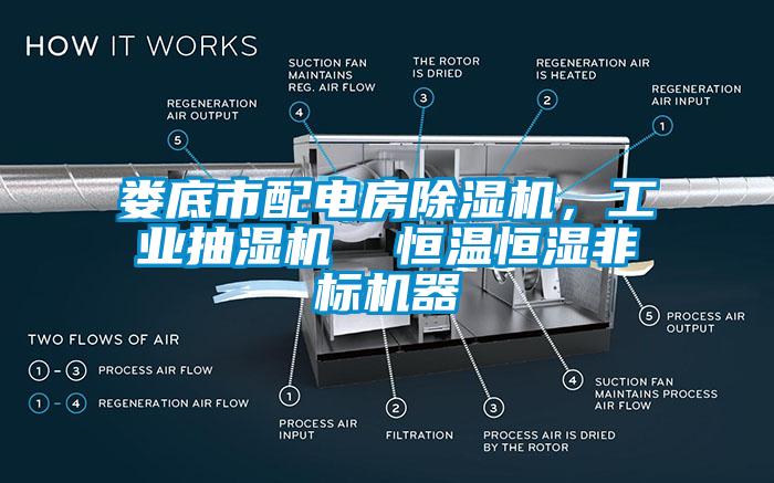 娄底市配电房草莓视频APP在线，工业抽湿机  恒温恒湿非标机器
