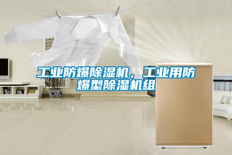 工业防爆草莓视频APP在线，工业用防爆型草莓视频APP在线组