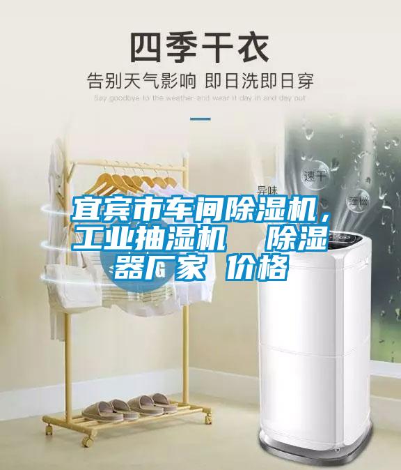 宜宾市车间草莓视频APP在线，工业抽湿机  除湿器厂家 价格