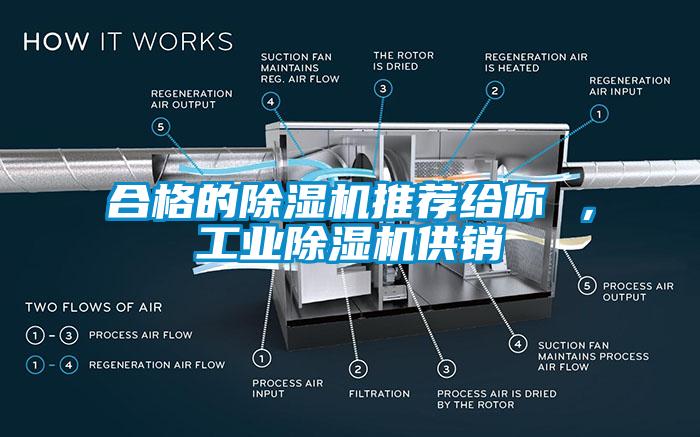 合格的草莓视频APP在线推荐给你 ，工业草莓视频APP在线供销
