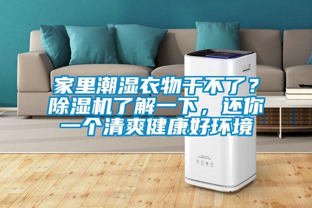 家里潮湿衣物干不了？草莓视频APP在线了解一下，还你一个清爽健康好环境