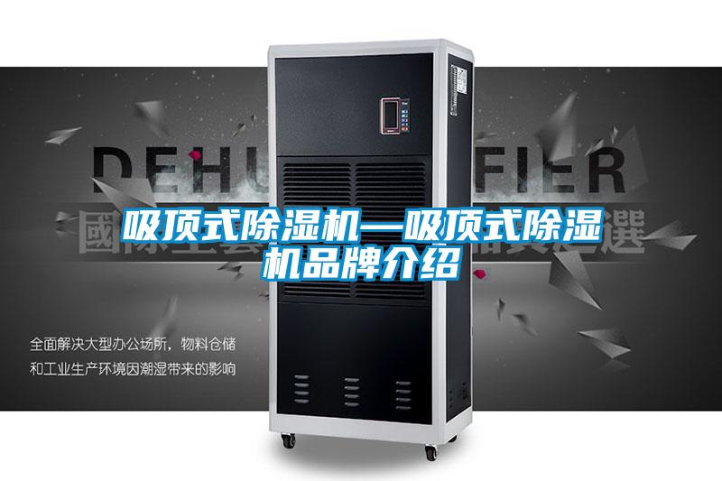 吸顶式草莓视频APP在线—吸顶式草莓视频APP在线品牌介绍