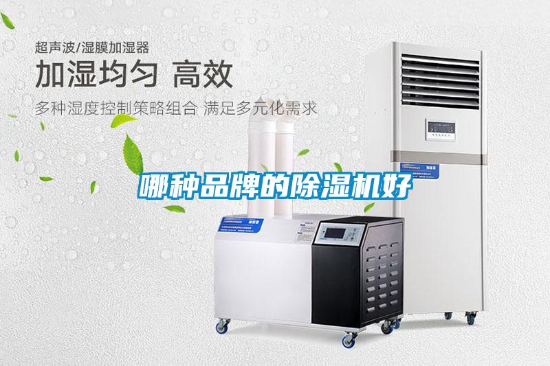 哪种品牌的草莓视频APP在线好