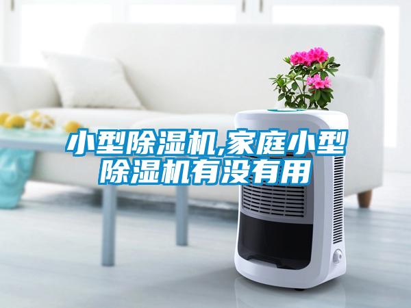 小型草莓视频APP在线,家庭小型草莓视频APP在线有没有用