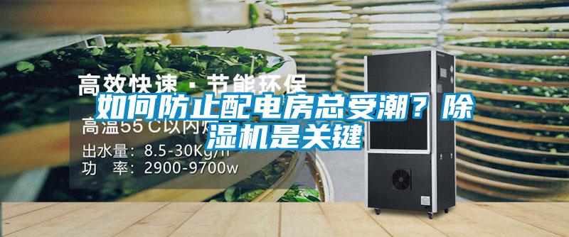 如何防止配电房总受潮？草莓视频APP在线是关键