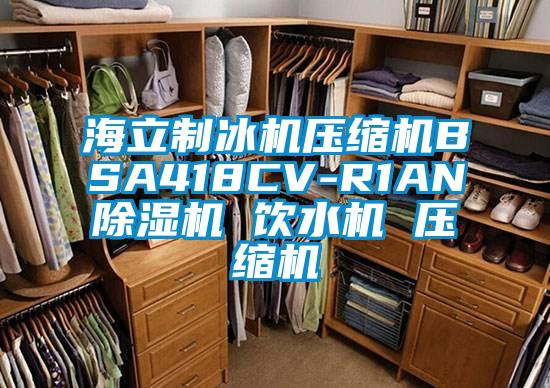 海立制冰机压缩机BSA418CV-R1AN草莓视频APP在线 饮水机 压缩机