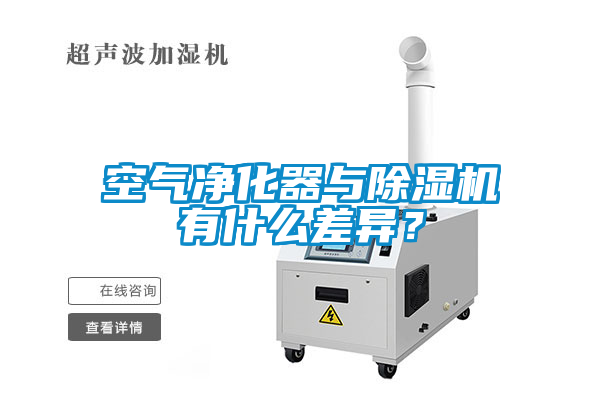 空气净化器与草莓视频APP在线有什么差异？