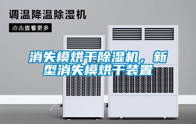消失模烘干草莓视频APP在线，新型消失模烘干装置