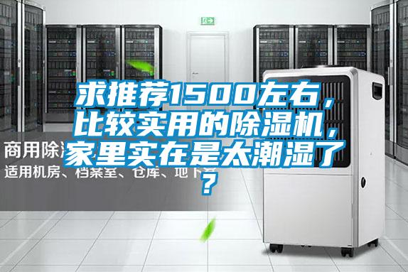 求推荐1500左右，比较实用的草莓视频APP在线，家里实在是太潮湿了？