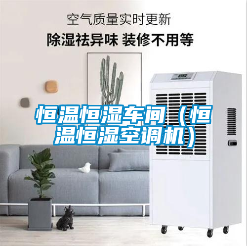 恒温恒湿车间（恒温恒湿空调机）