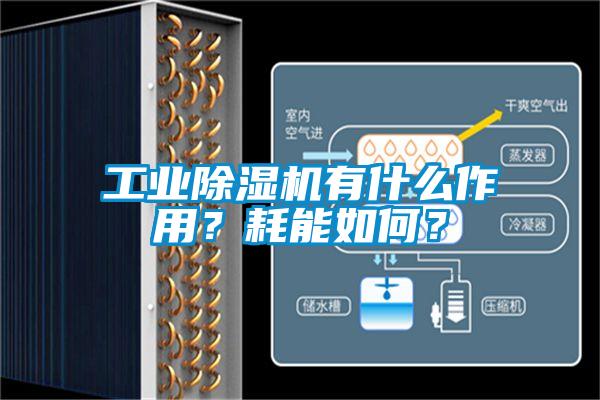 工业草莓视频APP在线有什么作用？耗能如何？