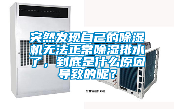 突然发现自己的草莓视频APP在线无法正常除湿排水了，到底是什么原因导致的呢？
