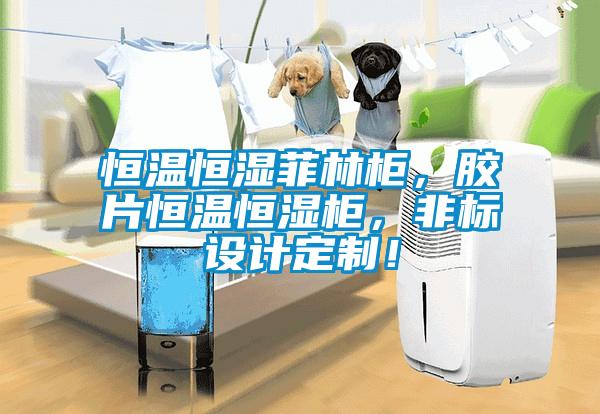 恒温恒湿菲林柜，胶片恒温恒湿柜，非标设计定制！