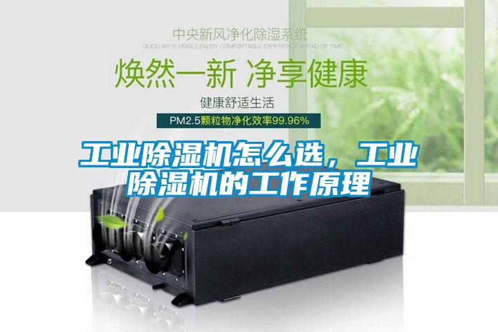 工业草莓视频APP在线怎么选，工业草莓视频APP在线的工作原理