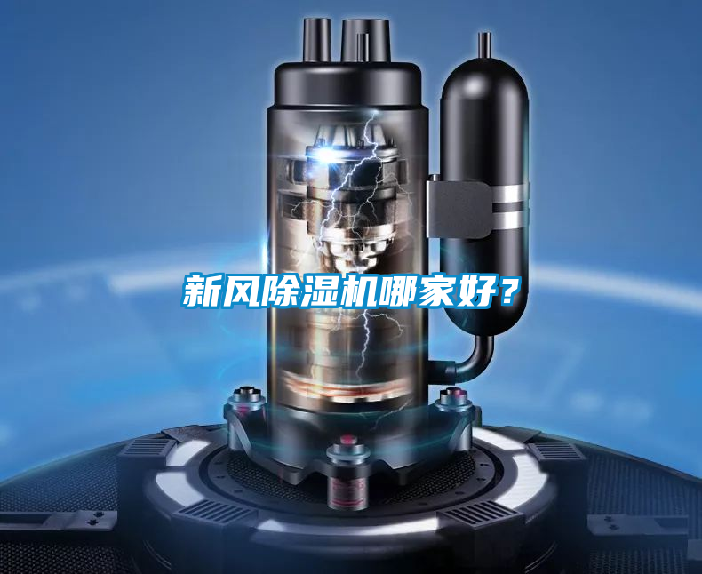 新风草莓视频APP在线哪家好？
