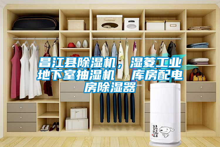 昌江县草莓视频APP在线，湿菱工业地下室抽湿机  库房配电房除湿器