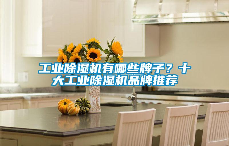 工业草莓视频APP在线有哪些牌子？十大工业草莓视频APP在线品牌推荐