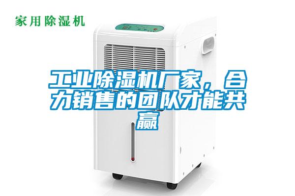 工业草莓视频APP在线厂家，合力销售的团队才能共赢