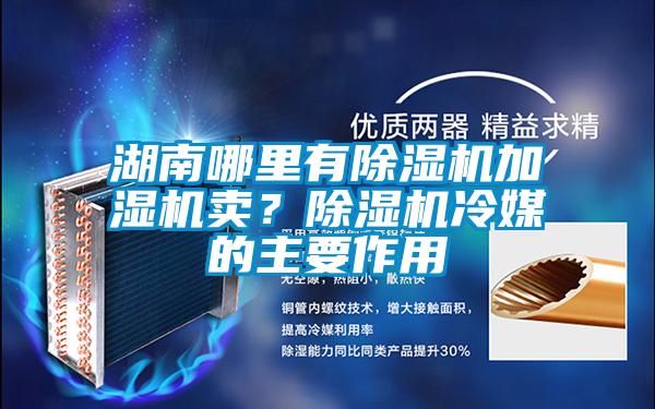 湖南哪里有草莓视频APP在线加湿机卖？草莓视频APP在线冷媒的主要作用