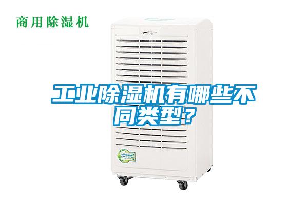 工业草莓视频APP在线有哪些不同类型？