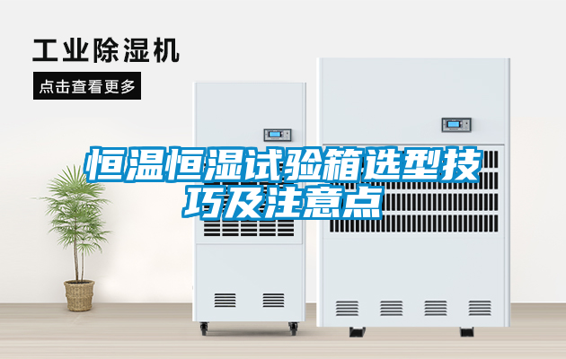 恒温恒湿试验箱选型技巧及注意点