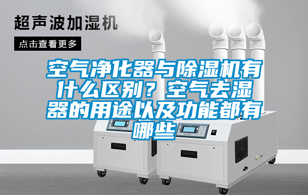 空气净化器与草莓视频APP在线有什么区别？空气去湿器的用途以及功能都有哪些