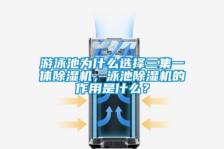 游泳池为什么选择三集一体草莓视频APP在线，泳池草莓视频APP在线的作用是什么？