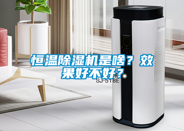 恒温草莓视频APP在线是啥？效果好不好？