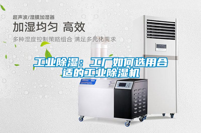 工业除湿：工厂如何选用合适的工业草莓视频APP在线