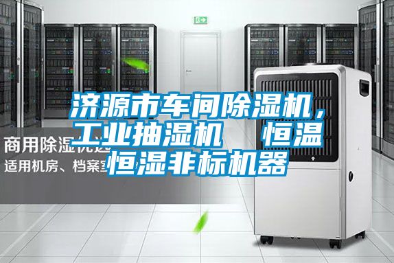 济源市车间草莓视频APP在线，工业抽湿机  恒温恒湿非标机器