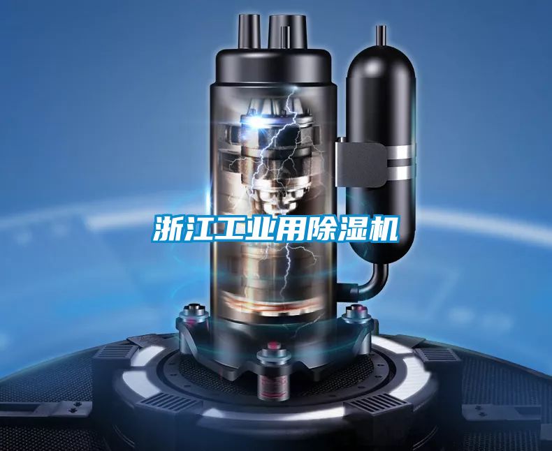 浙江工业用草莓视频APP在线