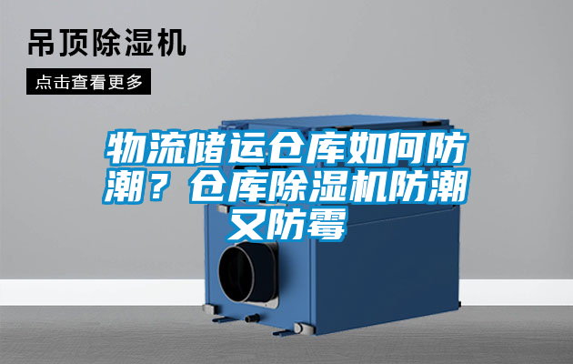 物流储运仓库如何防潮？仓库草莓视频APP在线防潮又防霉