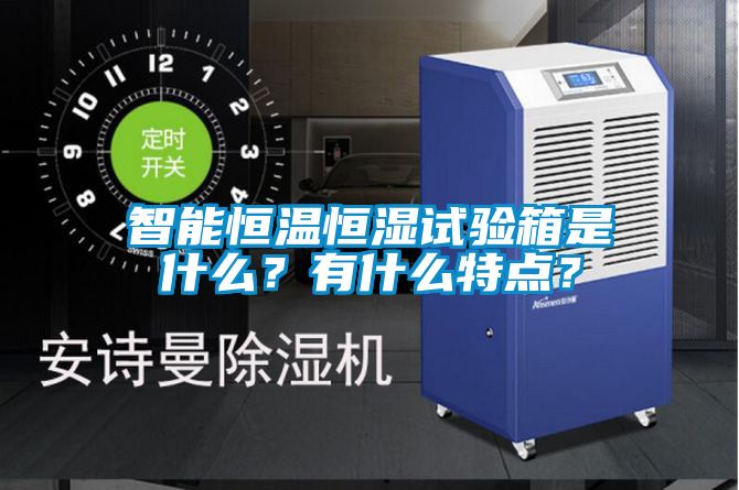 智能恒温恒湿试验箱是什么？有什么特点？