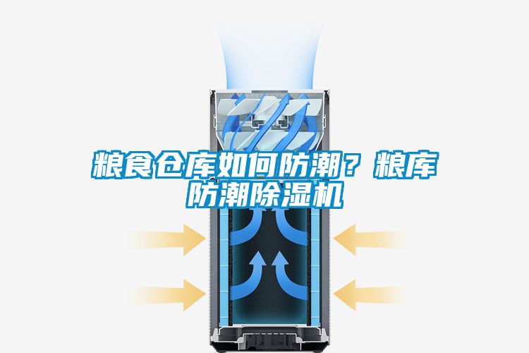 粮食仓库如何防潮？粮库防潮草莓视频APP在线